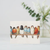 Carte Postale Une branche d'oiseaux Illustration vintage de pins (Debout devant)