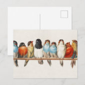 Carte Postale Une branche d'oiseaux Illustration vintage de pins (Devant / Derrière)