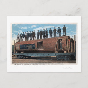 Carte Postale Une cage d'ours et l'habitation dans un immense jo