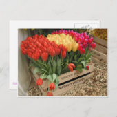 Carte Postale Une caisse en bois avec tulipes (Devant / Derrière)