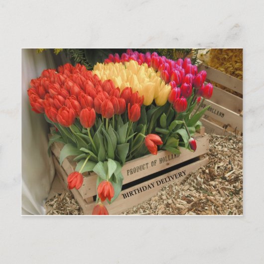Carte Postale Une caisse en bois avec tulipes (Devant)