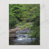 Carte Postale Une cascade miniature (Devant)