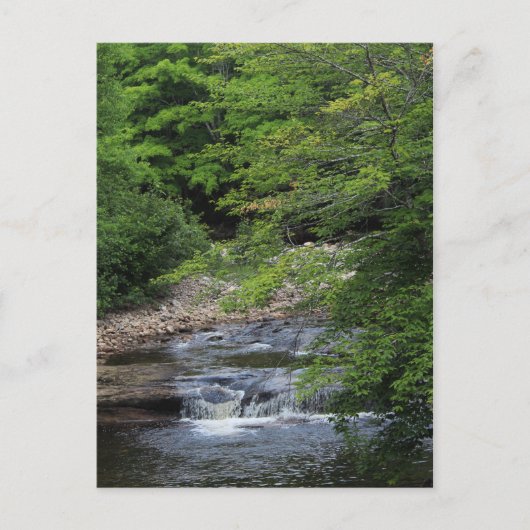 Carte Postale Une cascade miniature (Devant)