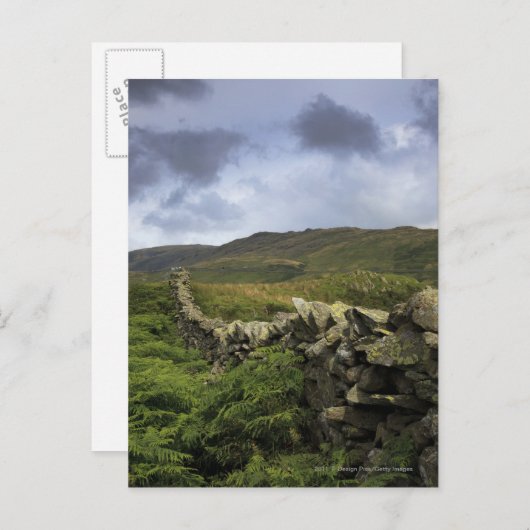 Carte Postale Une Clôture De Pierre À Travers Les Champs (Devant / Derrière)