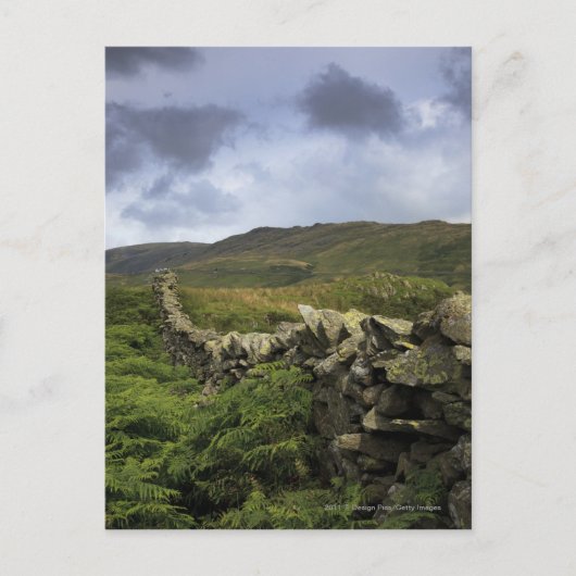 Carte Postale Une Clôture De Pierre À Travers Les Champs (Devant)