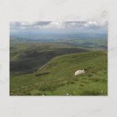 Carte Postale Une collection d'une journée dans les Yorkshire Da (Devant)