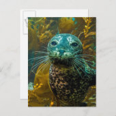 Carte Postale Une Curieuse Forêt De Kelp De Phoque Portuaire | P (Devant / Derrière)