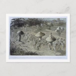 Carte Postale Une danse féerique par la nuit, illustration de