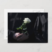 Carte Postale Une Dernière rose blanche (Devant / Derrière)
