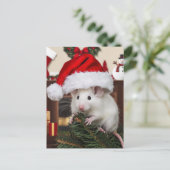 Carte Postale Une drôle de souris de Noël (Debout devant)