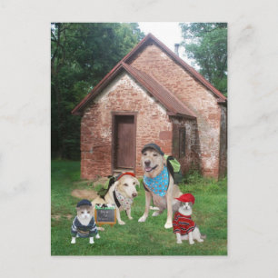 Carte Postale Une école