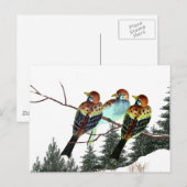 Carte Postale Une étoile est née (Devant / Derrière)