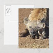 Carte Postale Une femelle Spotted Hyena et son petit, Kruger (Devant / Derrière)