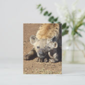Carte Postale Une femelle Spotted Hyena et son petit, Kruger (Debout devant)