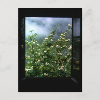 CARTE POSTALE UNE FEMME AMOUREUSE