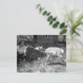 Carte Postale Une femme botte nourrit une antilope. (Debout devant)