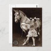Carte Postale Une fille de cirque et un cheval (Devant / Derrière)
