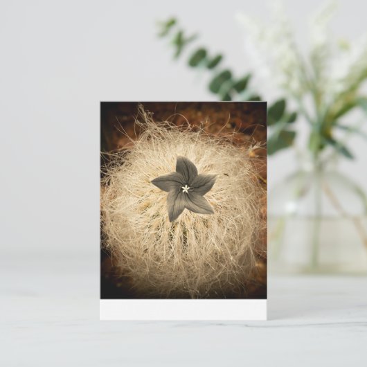 Carte Postale Une fleur (Debout devant)