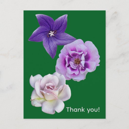 Carte Postale Une fleur (Devant)