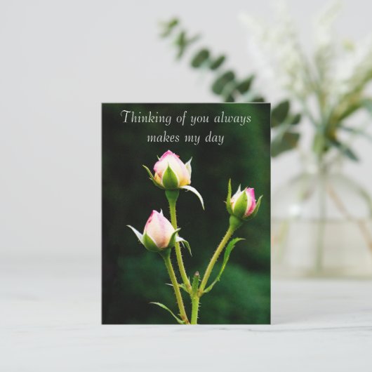 Carte Postale Une fleur de rosebud (Debout devant)