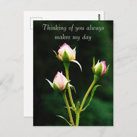 Carte Postale Une fleur de rosebud (Devant / Derrière)