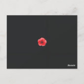 Carte Postale une fleur rouge avec un centre noir sur un dossier (Dos)