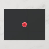 Carte Postale une fleur rouge avec un centre noir sur un dossier (Devant)