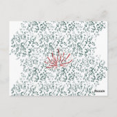 Carte Postale une fleur rouge sur un arrière - plan noir (Dos)