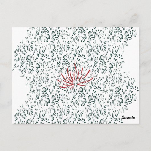 Carte Postale une fleur rouge sur un arrière - plan noir (Dos)