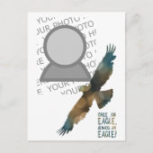 Carte Postale une fois un aigle toujours une photo d'aigle (Devant)