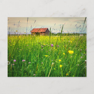 Carte Postale Une grange Halcyon blottie dans un pré de fleurs s