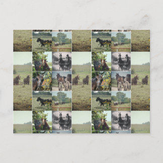 Carte Postale Une journée à Kalona, Iowa