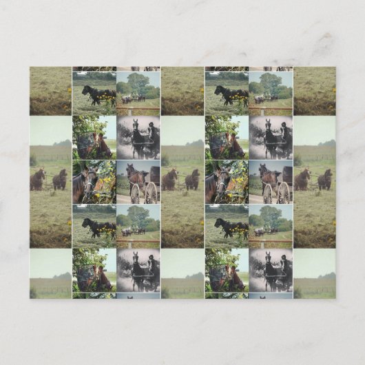 Carte Postale Une journée à Kalona, Iowa (Devant)