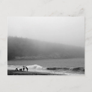 Carte Postale Une journée à la plage - Maine