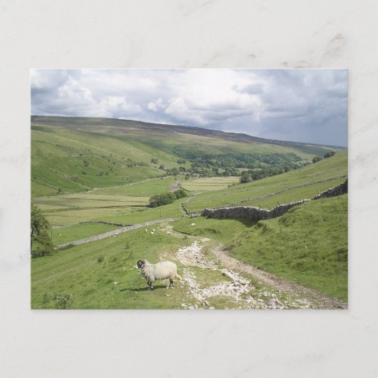 Carte Postale Une journée dans la collection Yorkshire Dales (Devant)