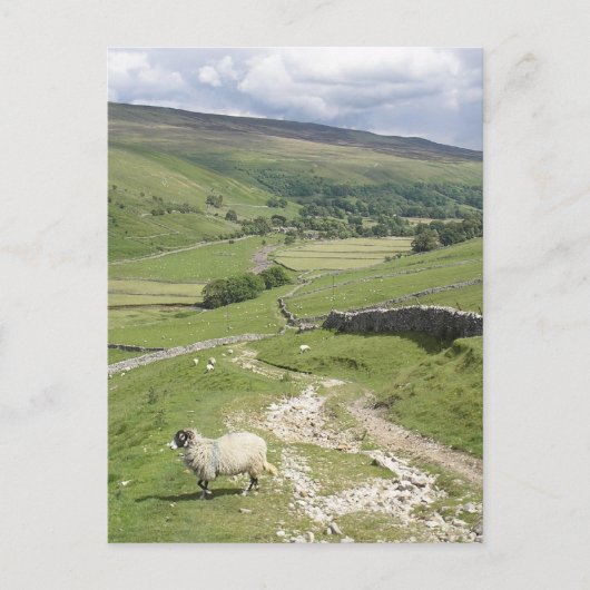 Carte Postale Une journée dans la collection Yorkshire Dales (Devant)