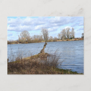 Carte Postale Une journée ensoleillée sur la rivière