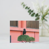 Carte Postale Une Jungle À Gros Billages Croque Une Perche Sur U (Debout devant)