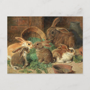 Carte Postale Une lapine et ses petits par Alfred Barber