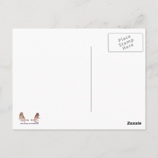 Carte Postale Une longue nuit froide (Dos)