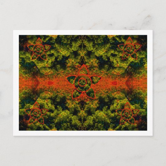 Carte Postale Une lumière différente (Devant)