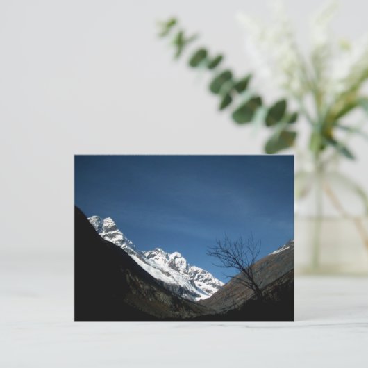 CARTE POSTALE UNE MARCHE (Debout devant)