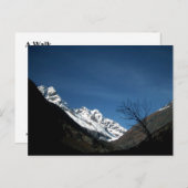 CARTE POSTALE UNE MARCHE (Devant / Derrière)