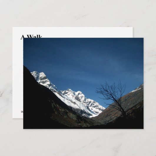 CARTE POSTALE UNE MARCHE (Devant / Derrière)