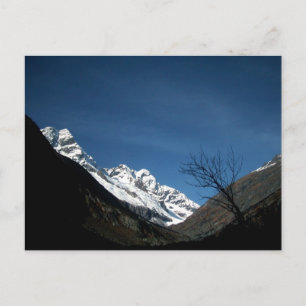 CARTE POSTALE UNE MARCHE