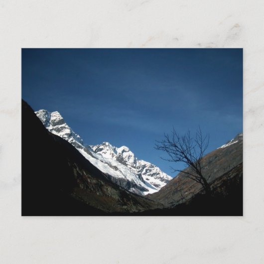 CARTE POSTALE UNE MARCHE (Devant)