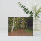 Carte Postale Une Marche De Bois. (Debout devant)