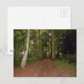 Carte Postale Une Marche De Bois. (Devant / Derrière)
