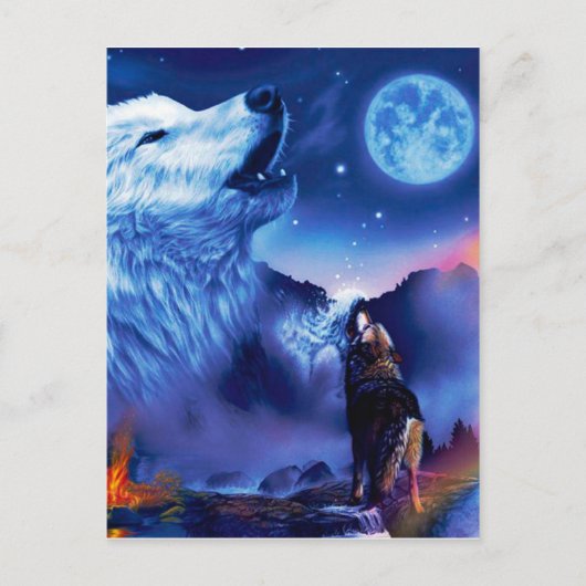 Carte Postale Une meute de loups une nuit noire (Devant)