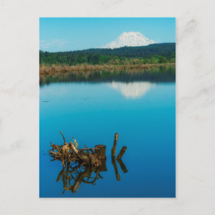 Carte Postale Une montagne se jette sur une haie